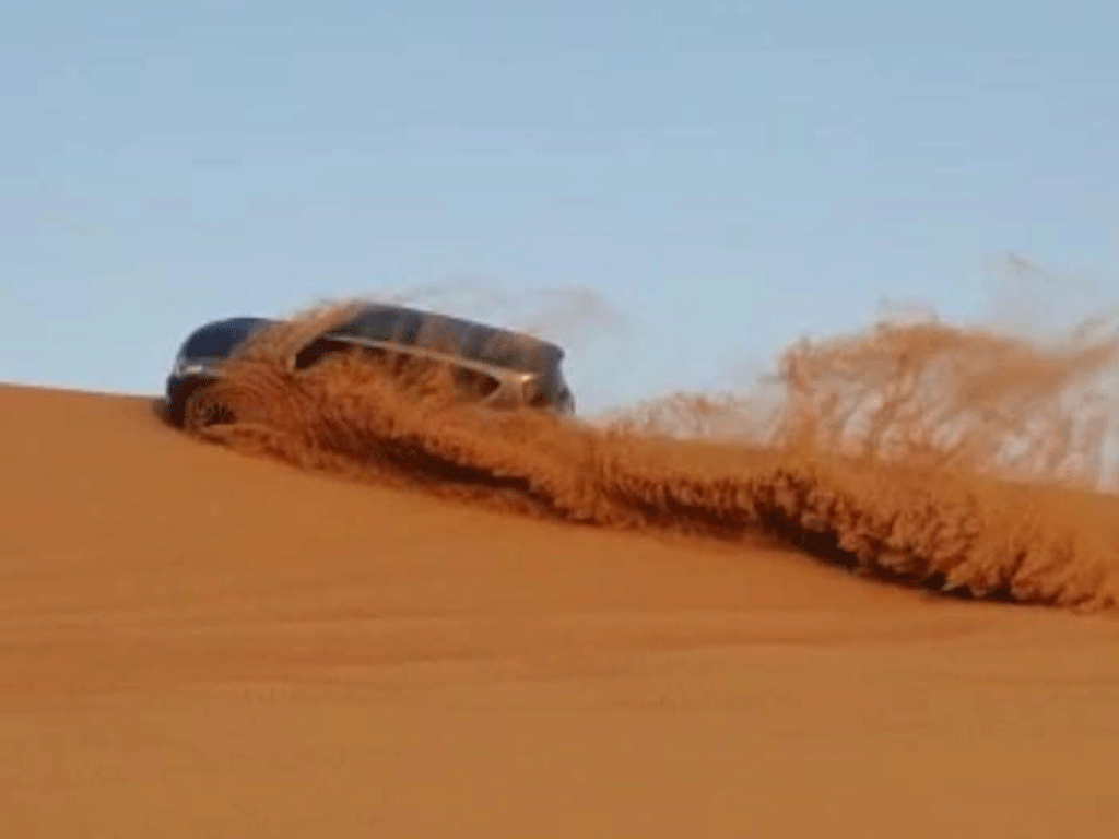 Private VIP Evening Desert Safari with dune bashing